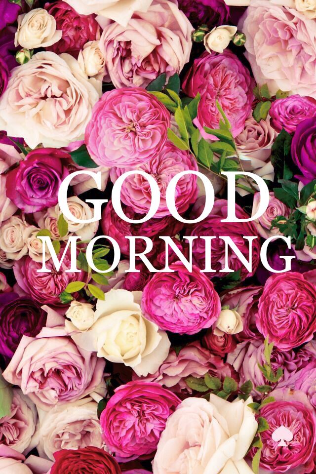 1000 Ideas About Good Morning On Pinterest - Good Morning First Day Of March , HD Wallpaper & Backgrounds