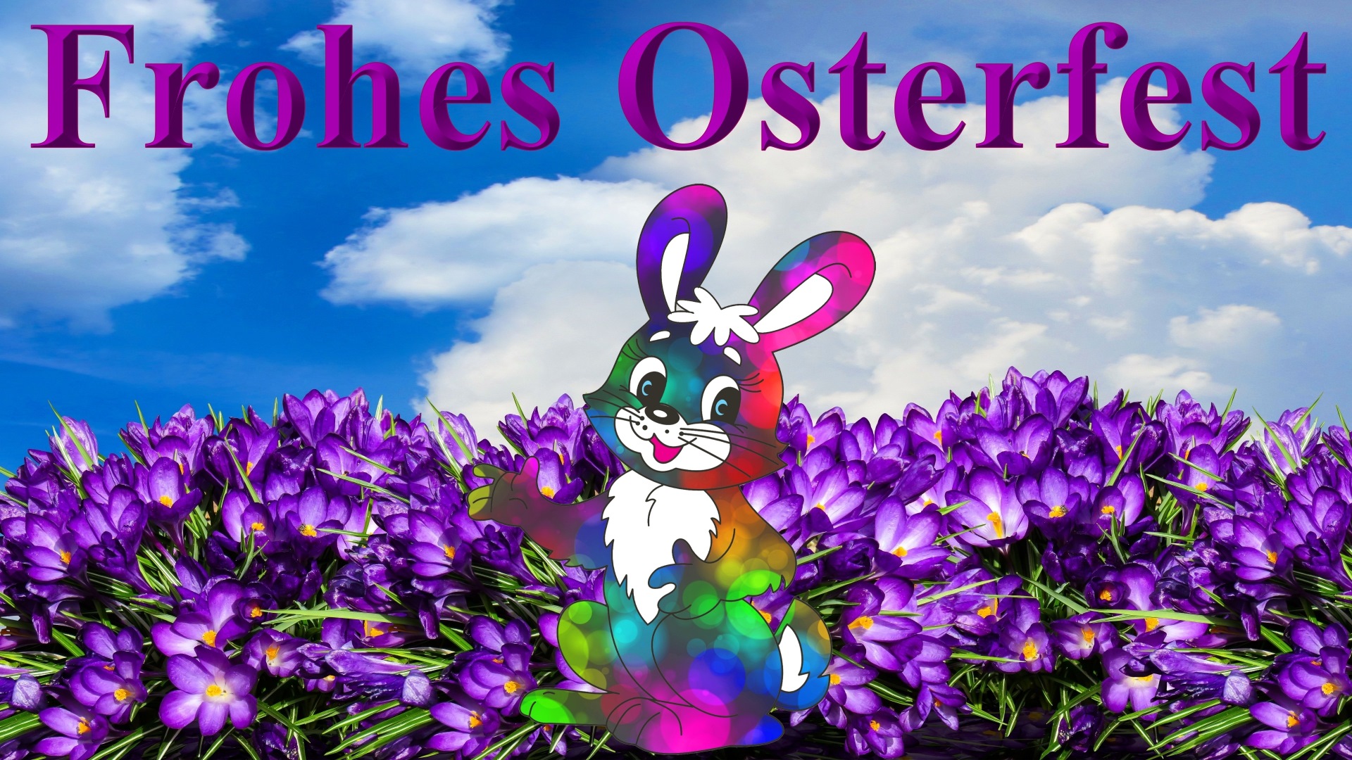 Schöne Bilder Motive - Frohe Ostern Hase Lustig , HD Wallpaper & Backgrounds