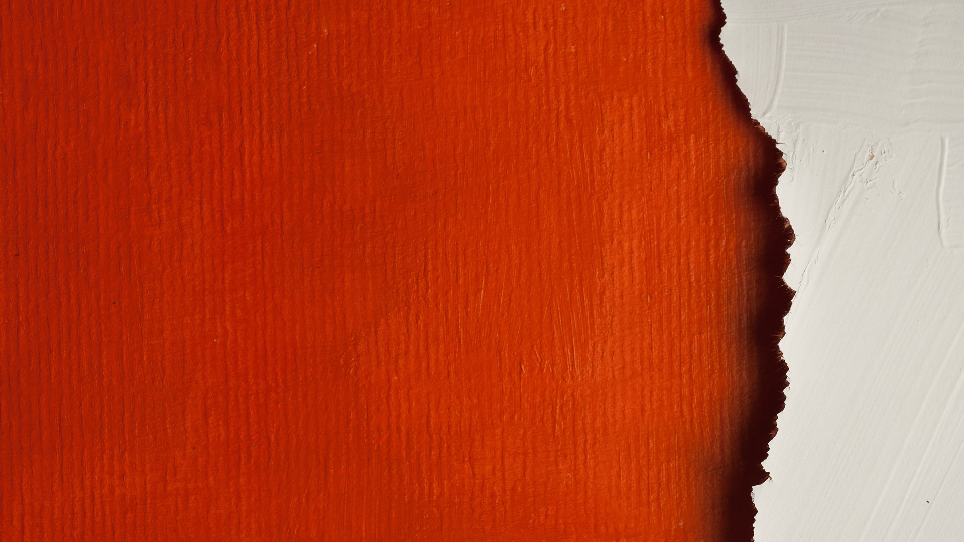Orange Texture Background Wallpaper - Backgrounds White Textures Hd , HD Wallpaper & Backgrounds