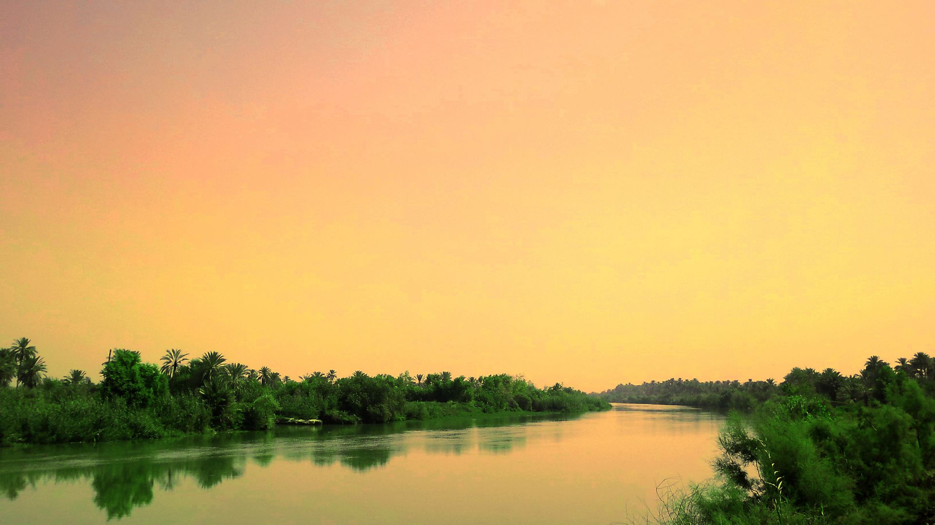 Beautiful Riverside Nature - Tree , HD Wallpaper & Backgrounds