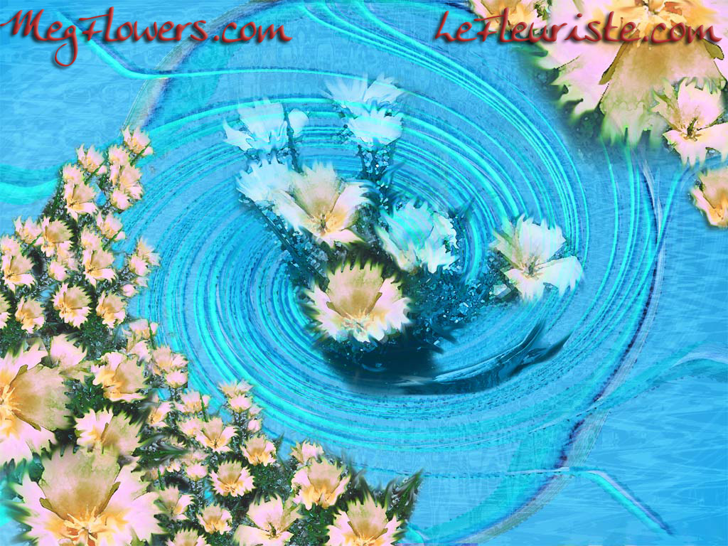 Http - //www - Megflowers - Com/wallpaper/wallpaper - Colourful Pic Beautiful Flowers , HD Wallpaper & Backgrounds