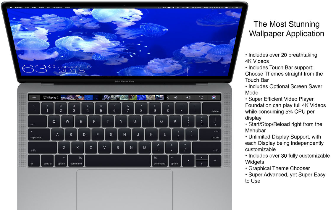 Aquarium 4k - Live Wallpaper - Macbook Pro Bar Touch , HD Wallpaper & Backgrounds