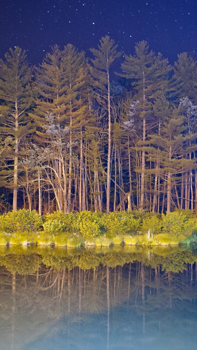 5k, 4k Wallpaper, Forest, Landscape, Night, Pond - 4k Wallpaper Nature Android , HD Wallpaper & Backgrounds