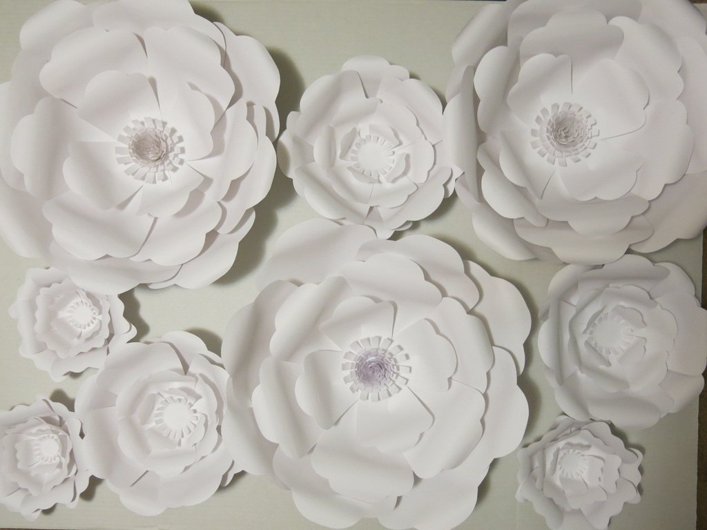 9 Giant Paper Flowers 6-16 White Wedding Flower Wall - Garden Roses , HD Wallpaper & Backgrounds