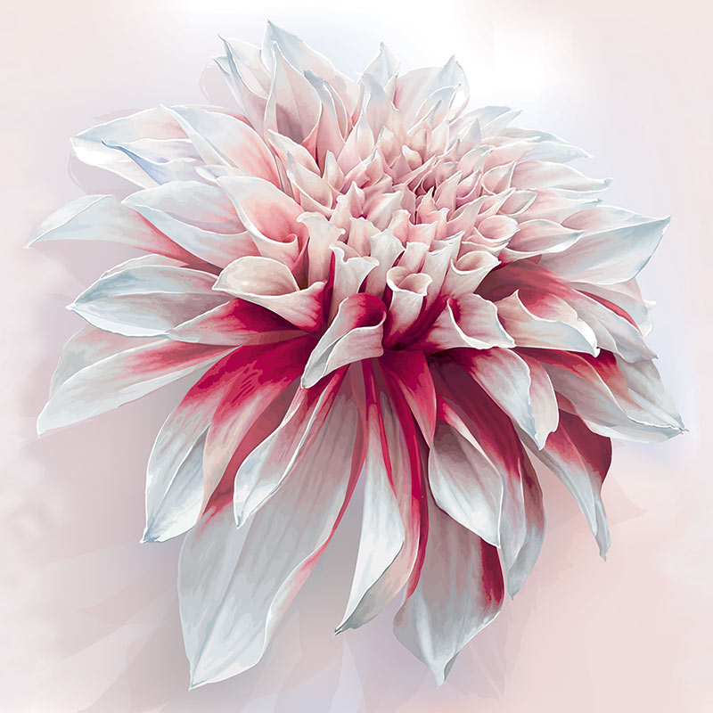 Image Showing Cristen Large Scale Floral Pattern Design - White Dahlia Flowers Paintings , HD Wallpaper & Backgrounds