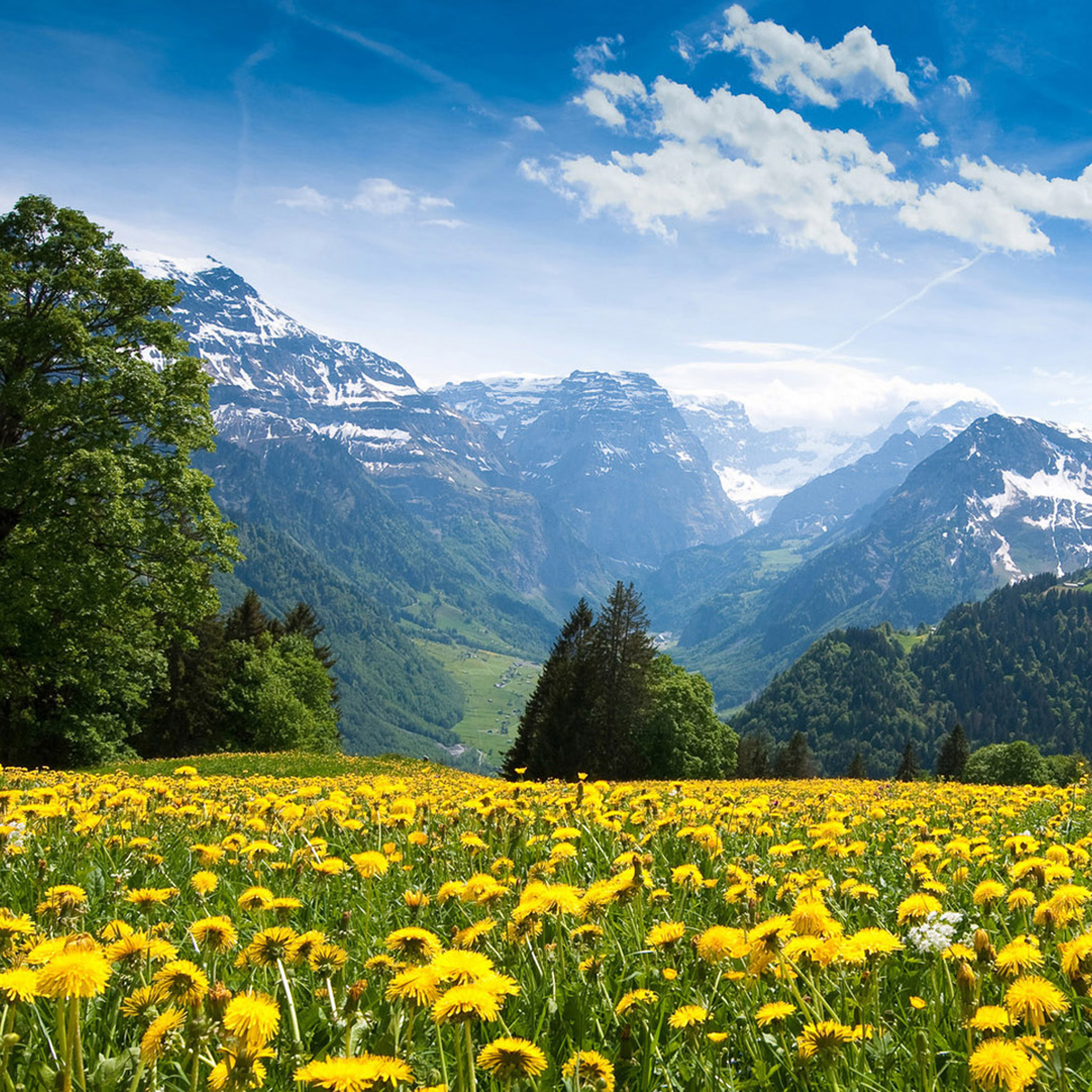 Nature Wallpaper For Ipad Air