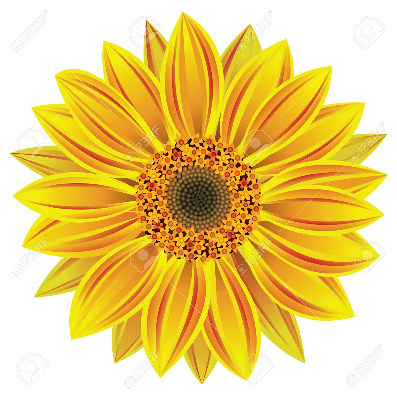 Wallpapermisc Single Sunflower Hd Wallpapers Free Top - Single Flower , HD Wallpaper & Backgrounds