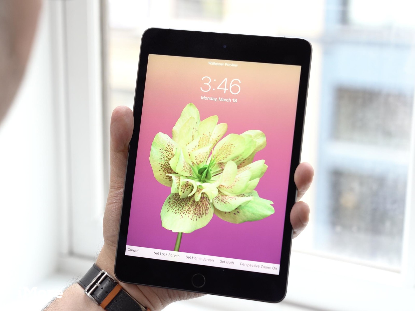 Ipad Mini 5 Flower Wallpaper - Ipad Mini 5 Space Gray , HD Wallpaper & Backgrounds