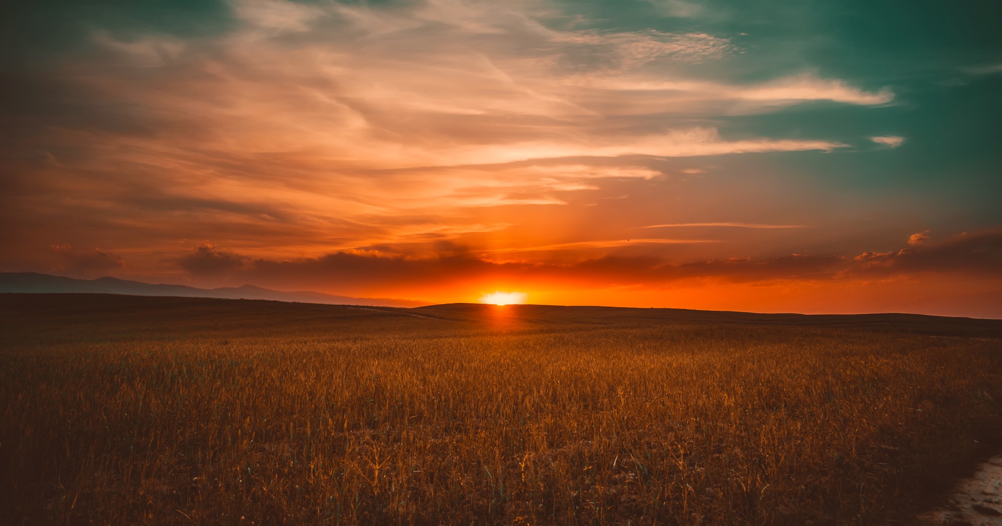 Sunset In A Field , HD Wallpaper & Backgrounds