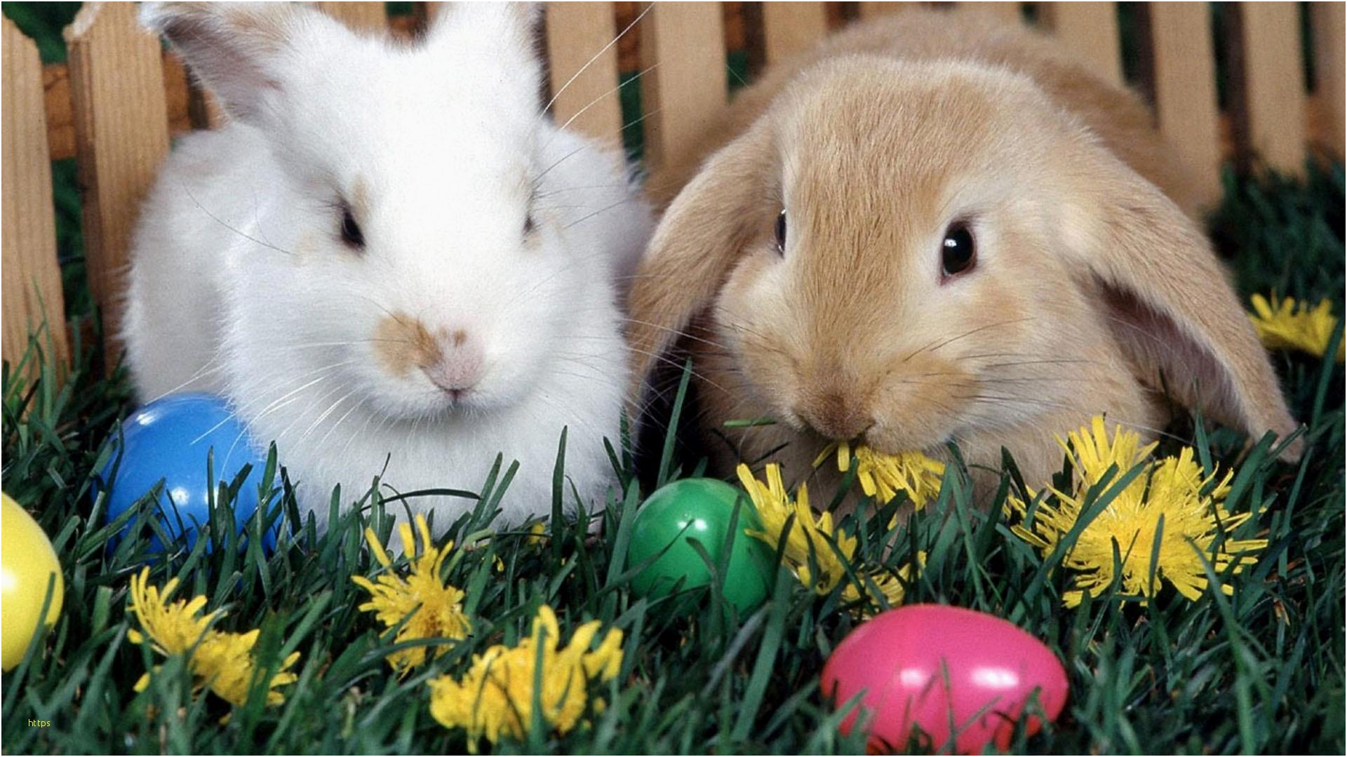 Free Easter Wallpaper Elegant Free Easter Desktop Wallpapers Free Easter Wallpaper Elegant Free Easter Desktop Wallpapers