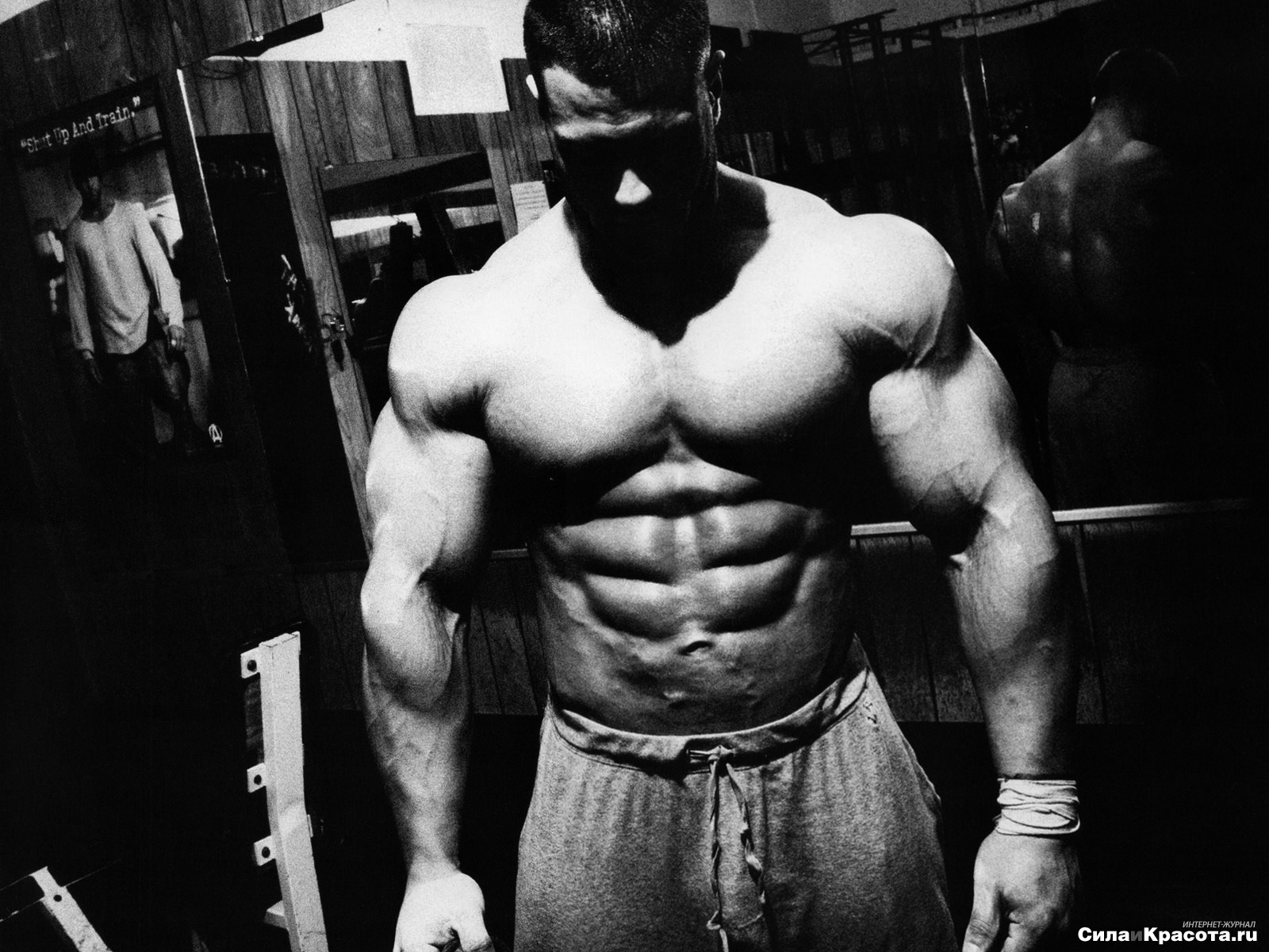 Bodybuilding Hd Wallpapers On Genchi - Frank Mcgrath Quotes , HD Wallpaper & Backgrounds