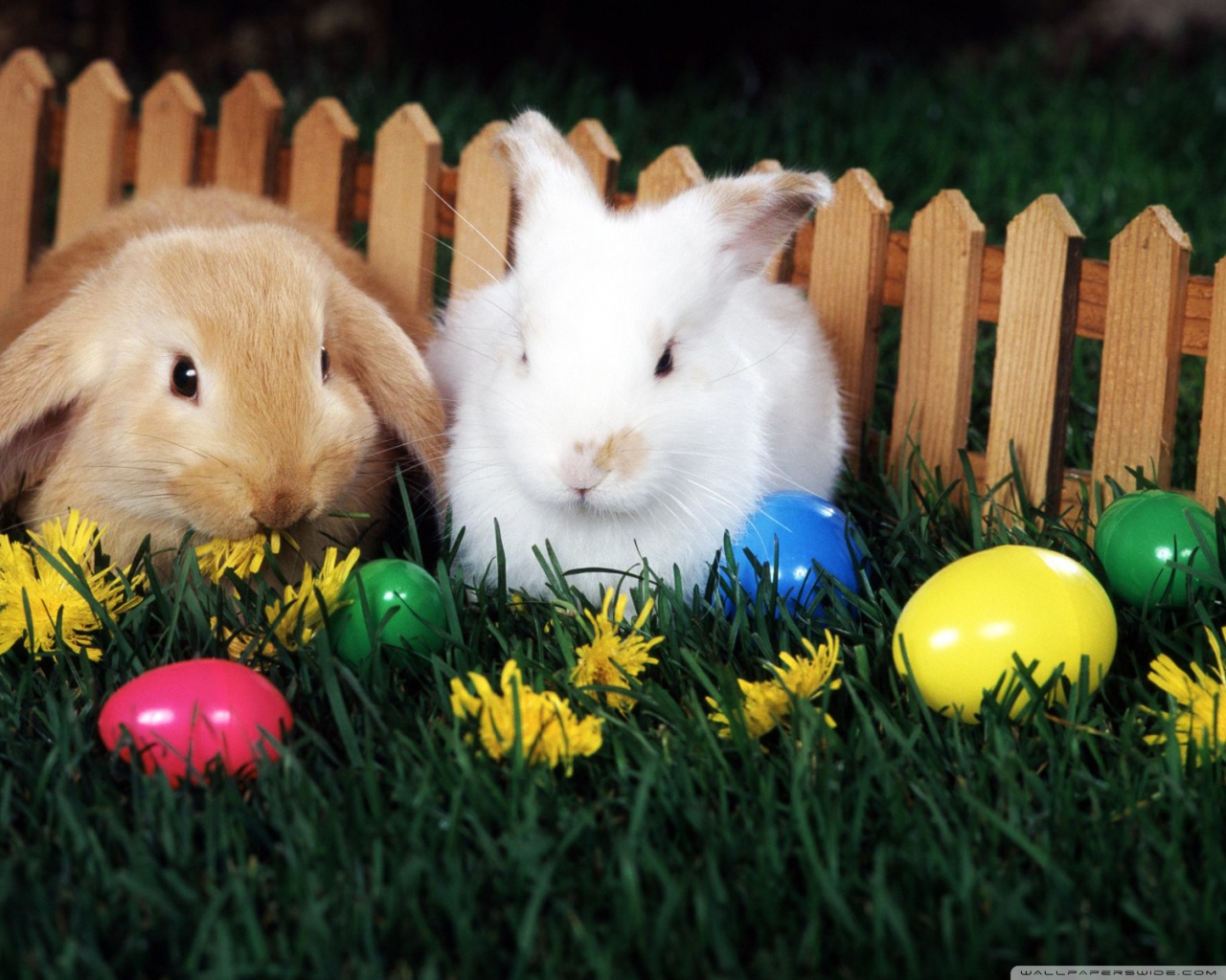 Free Easter Computer Wallpaper - Easter Hd , HD Wallpaper & Backgrounds