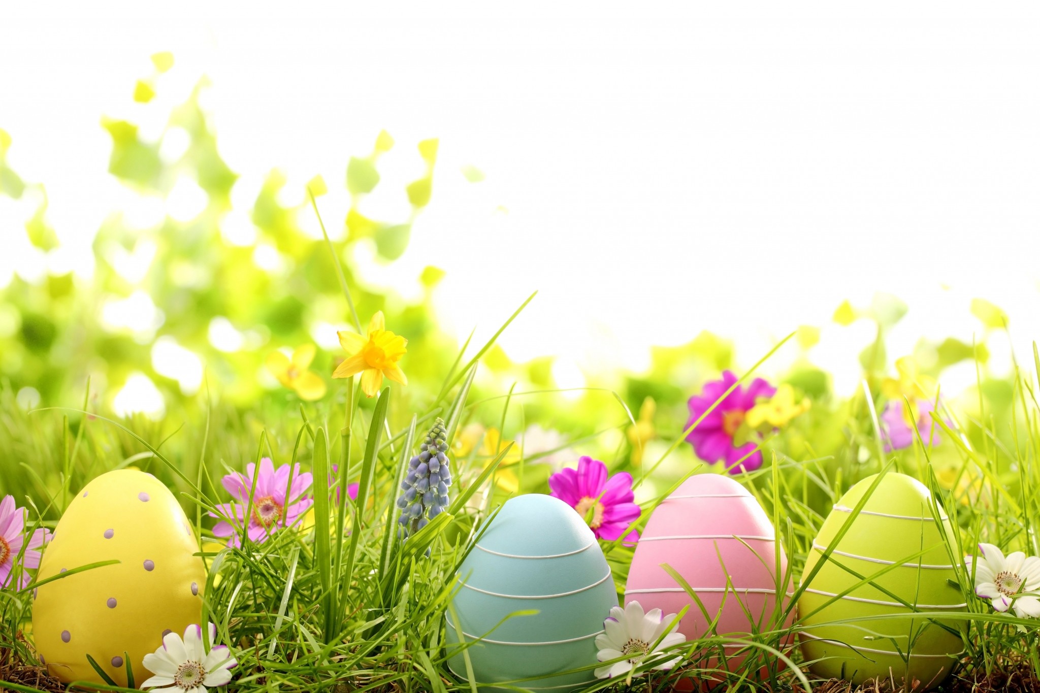 Happy Easter Wallpapers Hd - Easter Opening Hours 2019 , HD Wallpaper & Backgrounds