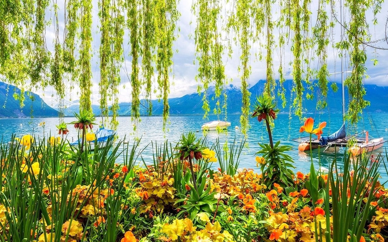 Spring Spring Lake Desktop Backgrounds , HD Wallpaper & Backgrounds