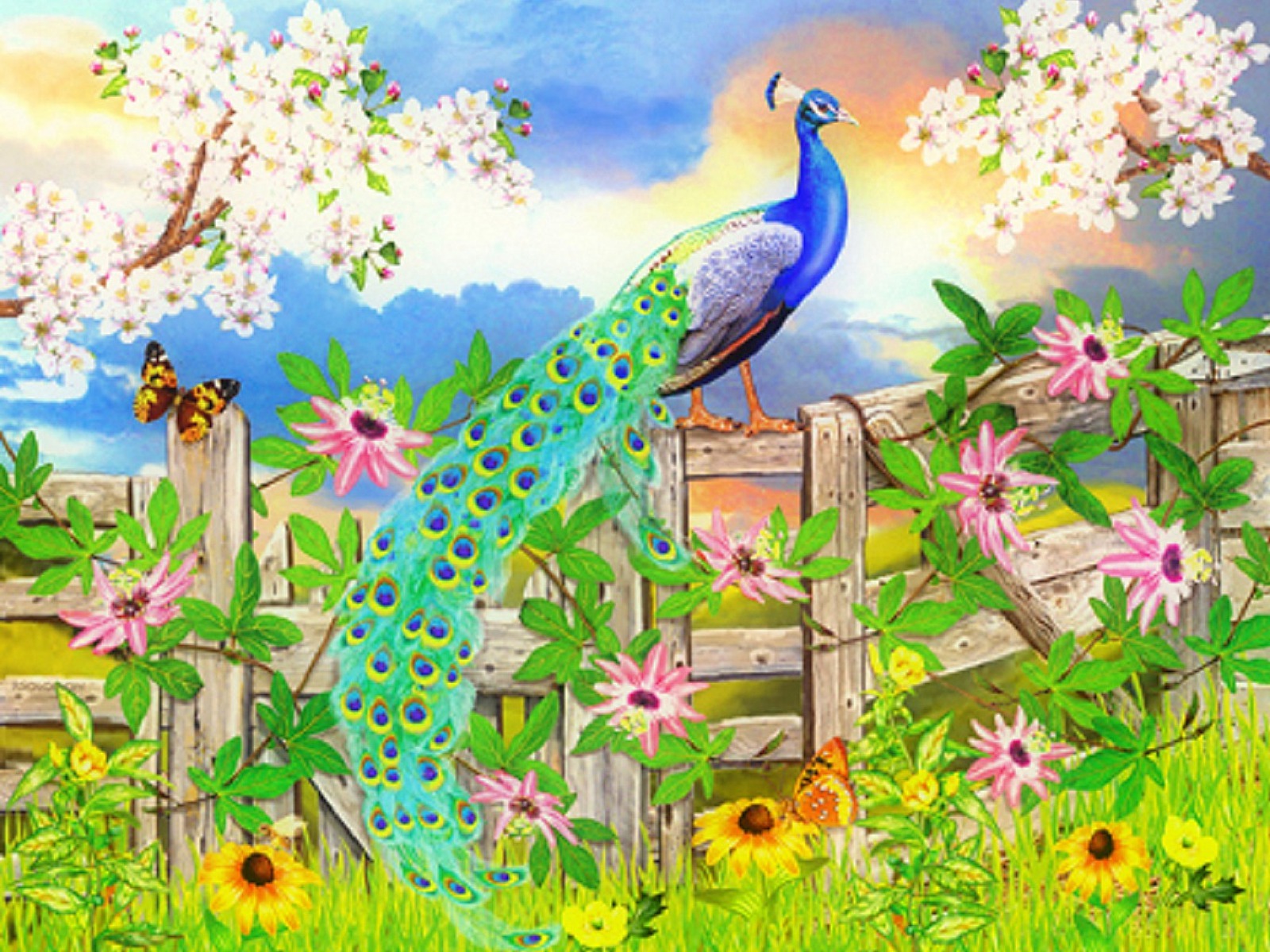 Peacock In The Garden Drawing , HD Wallpaper & Backgrounds