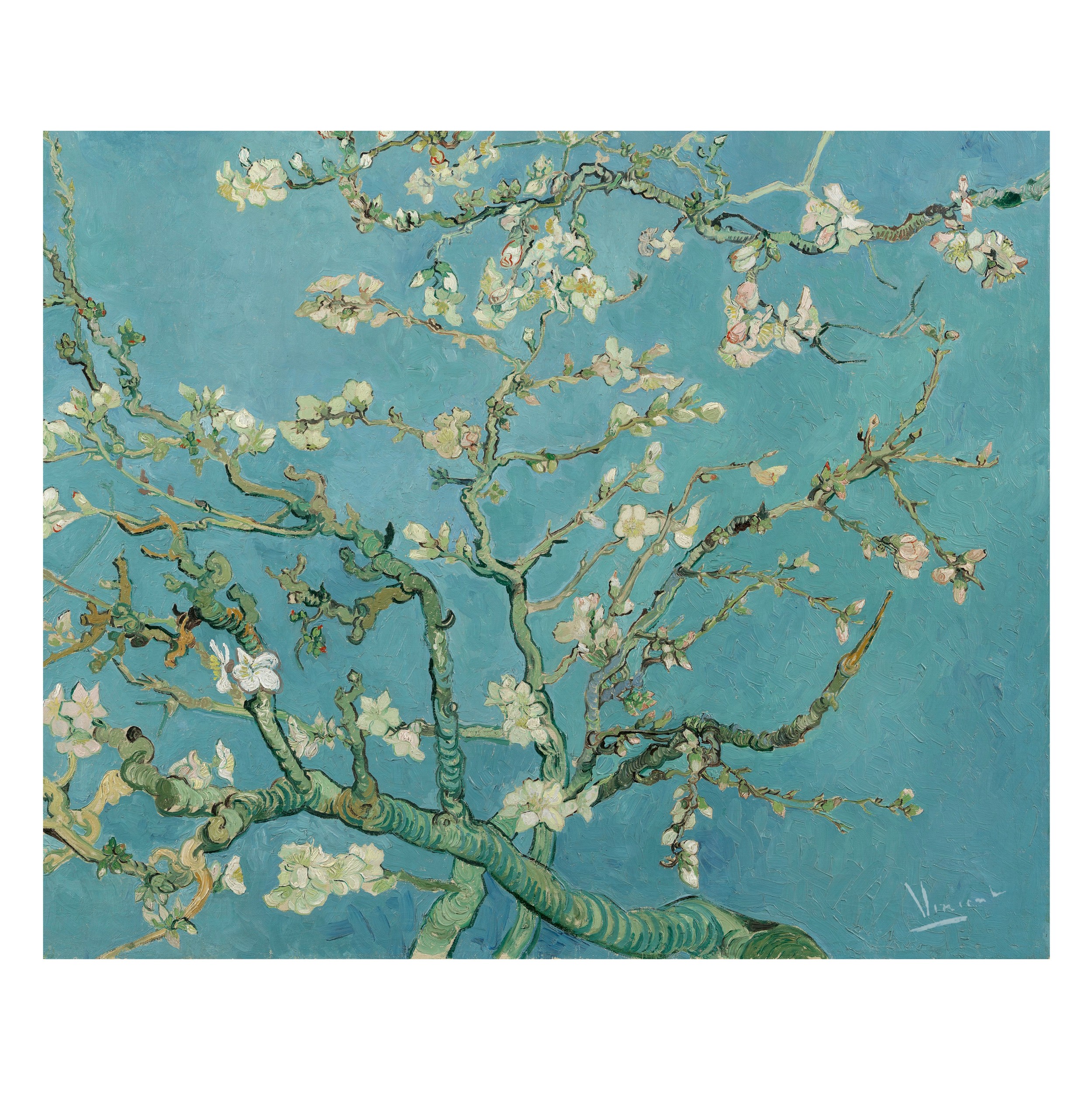 Wallpaper Almond Blossom - Van Gogh Painting , HD Wallpaper & Backgrounds