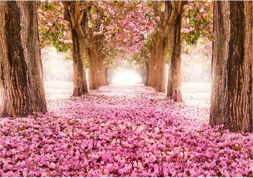 Seema Wallpaper - Nature Beautiful Spring , HD Wallpaper & Backgrounds