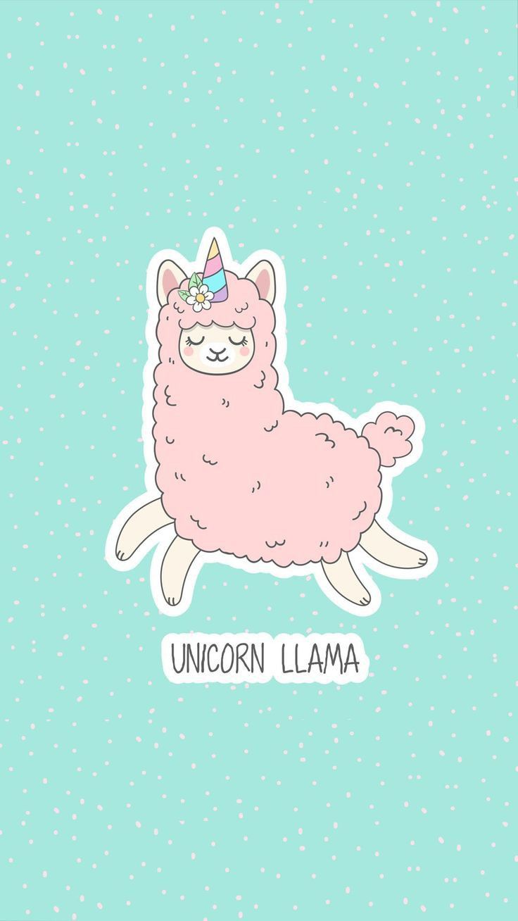 Cute Llama , HD Wallpaper & Backgrounds