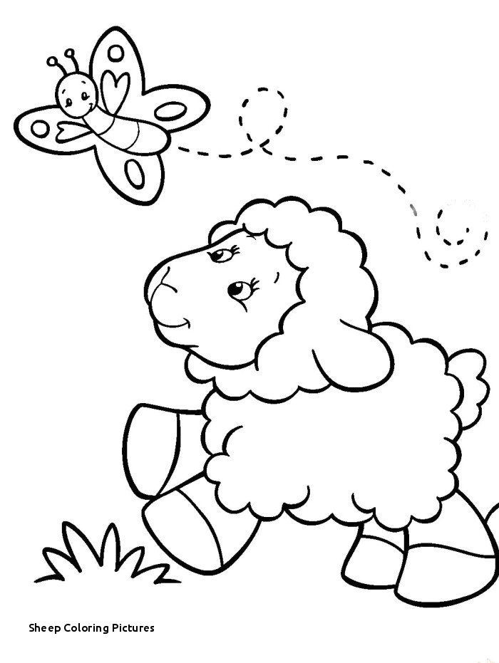 Lamb Of God Coloring Sheet Lovely Lamb Coloring Page - Easter Lamb Colouring Pages , HD Wallpaper & Backgrounds