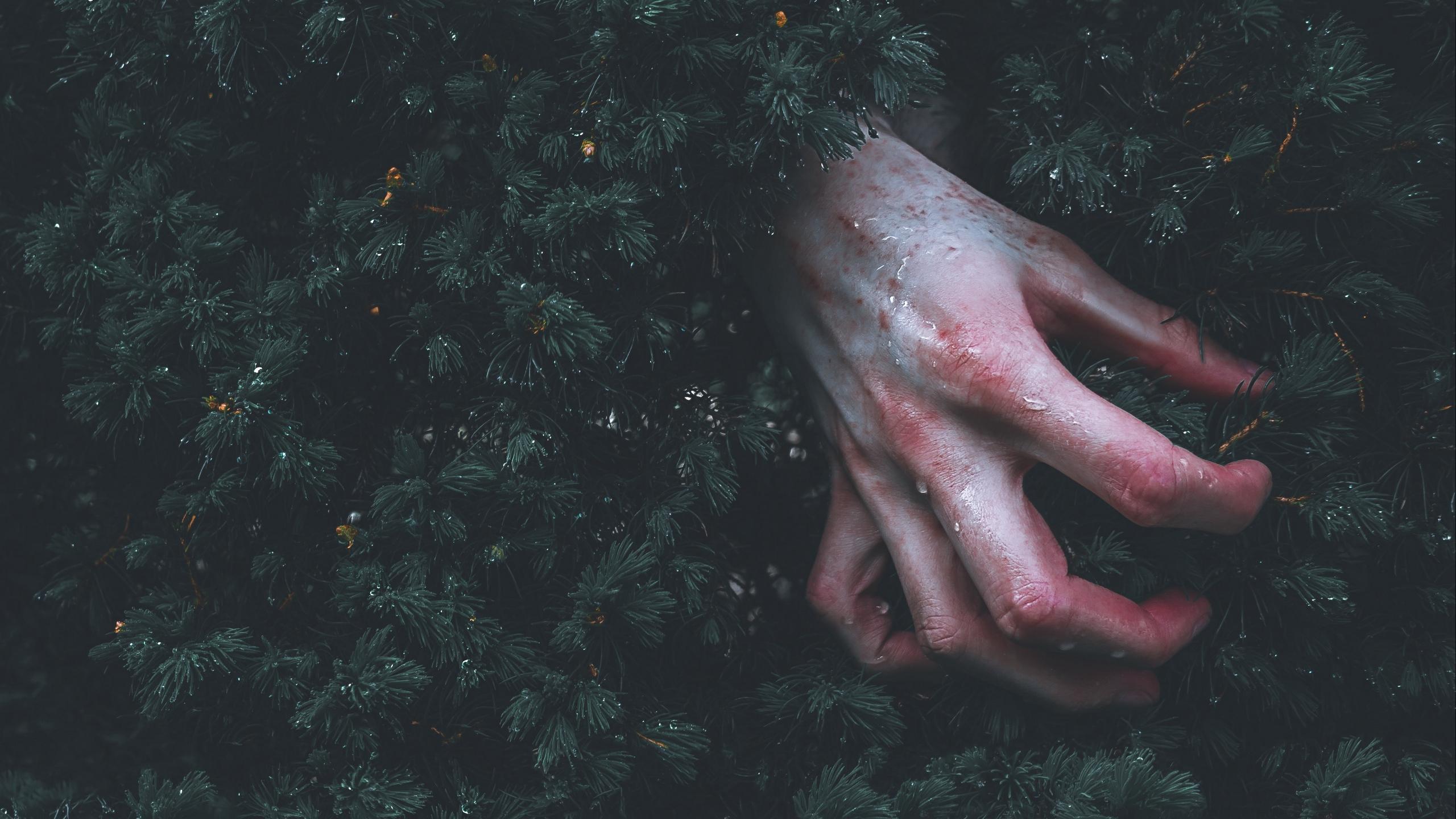 Wallpaper Vampires Blood Fantasy Ring Hands Fingers - Рука И Ветка , HD Wallpaper & Backgrounds