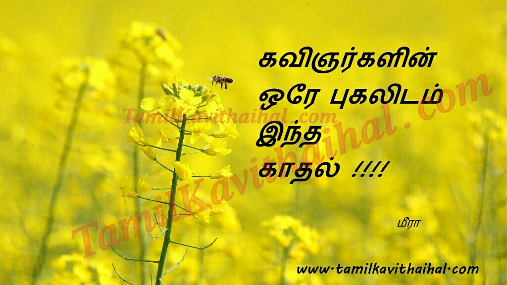 Tamil Kadhal Kavithai Kavingar Pugalidam Kavithaigal - Wishing A Beautiful Day , HD Wallpaper & Backgrounds