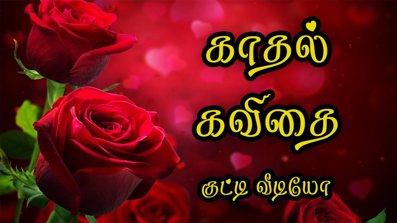 Kadhal Kavithai Tamil - Pink Rose Wallpaper For Mobile , HD Wallpaper & Backgrounds