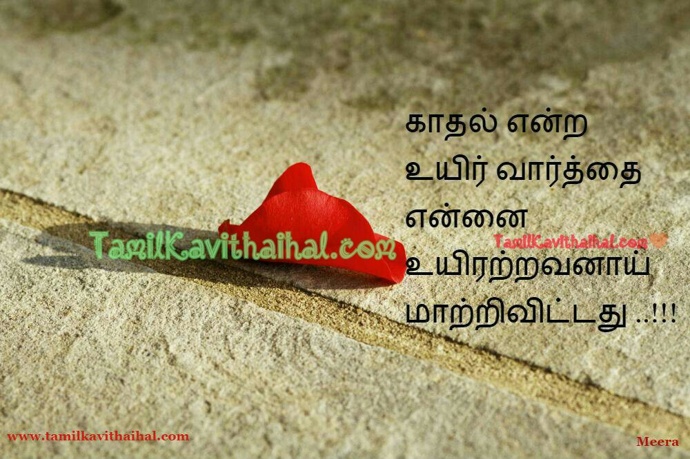 Uyir Kadhal Rose Boy Feel Love Proposal Tamil Kadhal - Message Tamil Kadhal Kavithai , HD Wallpaper & Backgrounds