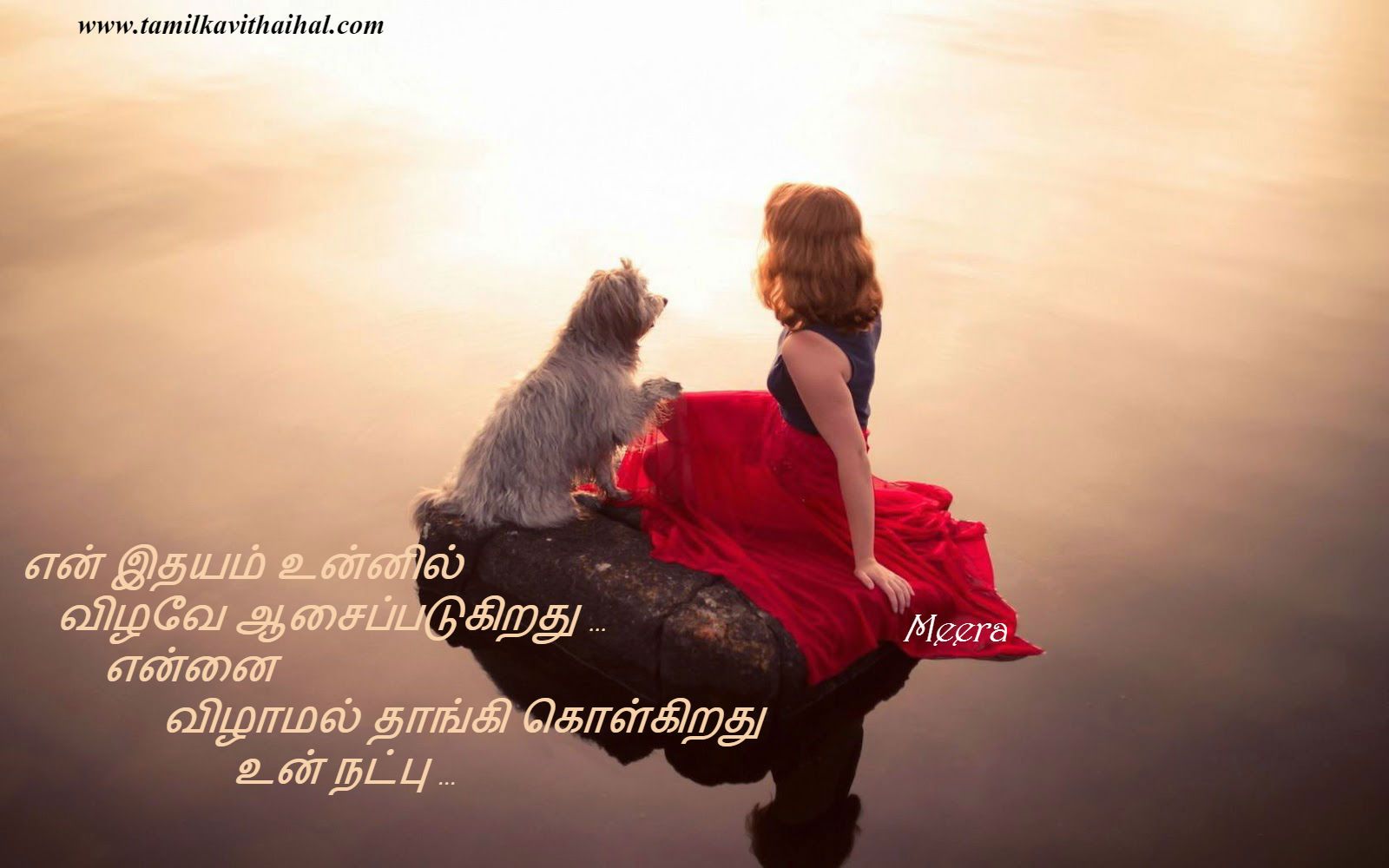 Natpu Tamil Kavithai Idhayam Nanban Girl Dog Tholan - Dog Kavithai In Tamil , HD Wallpaper & Backgrounds
