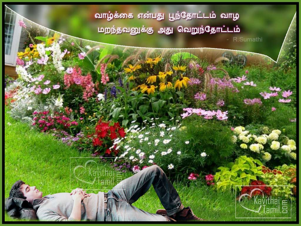 Tamil - Small Garden On A Slope Ideas , HD Wallpaper & Backgrounds
