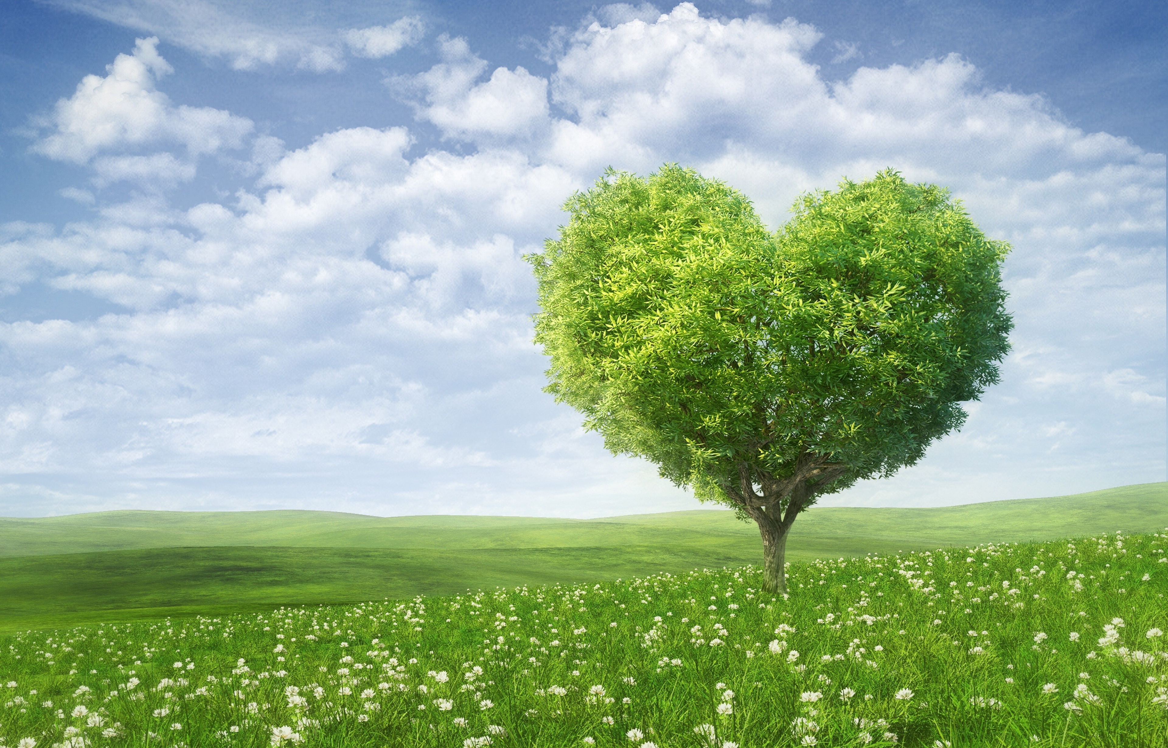 Love Pc Wallpapers Hd , HD Wallpaper & Backgrounds
