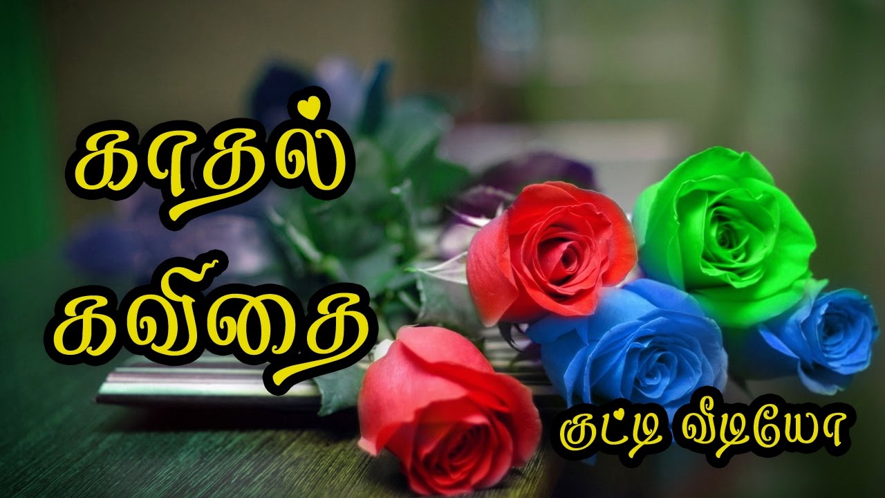 Kathal Kavithai Tamil Whatsapp Video 🌹💜❤ - Love Kadhal Kavithai In Tamil , HD Wallpaper & Backgrounds