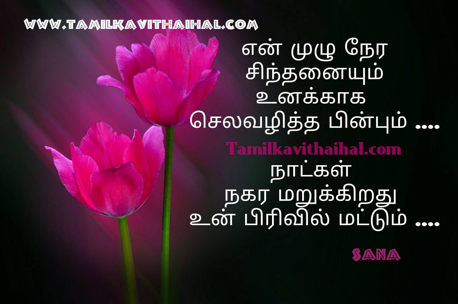 Featured image of post True Love Quotes In Tamil : 170 misunderstanding quotes in tamil.