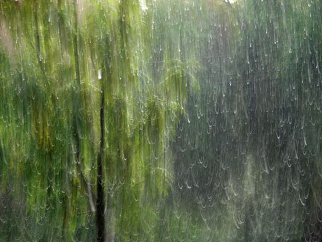 Rain Flavor Drops Colours Painting Summer Green Forest - Grass , HD Wallpaper & Backgrounds