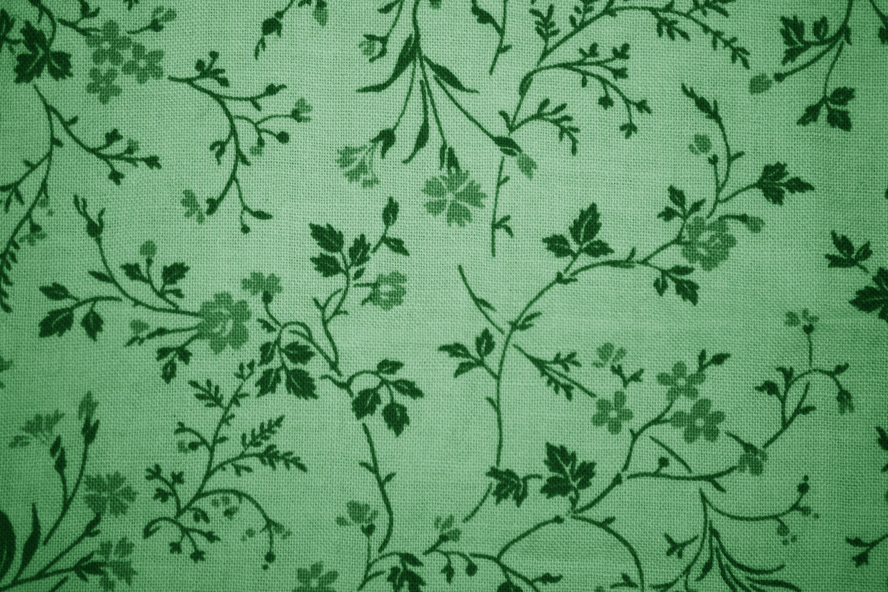 Mint Green - Green Floral Print , HD Wallpaper & Backgrounds