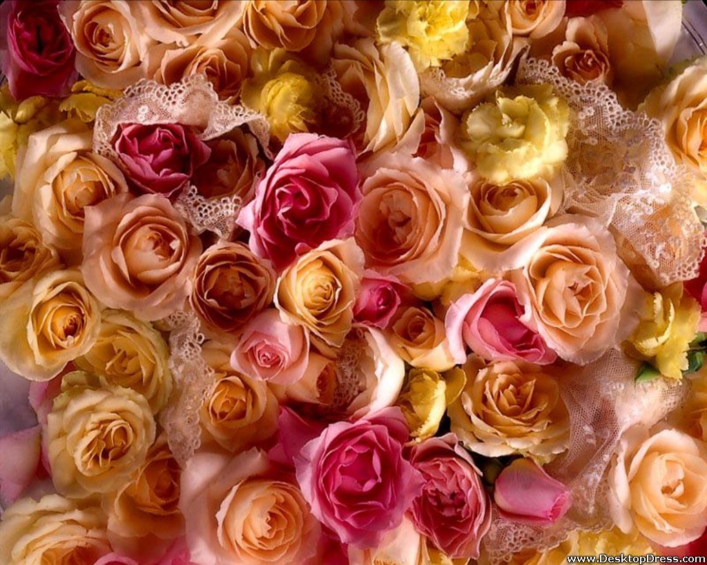 Colorful Roses Wallpaper - Rose Wallpaper Full Flowers , HD Wallpaper & Backgrounds