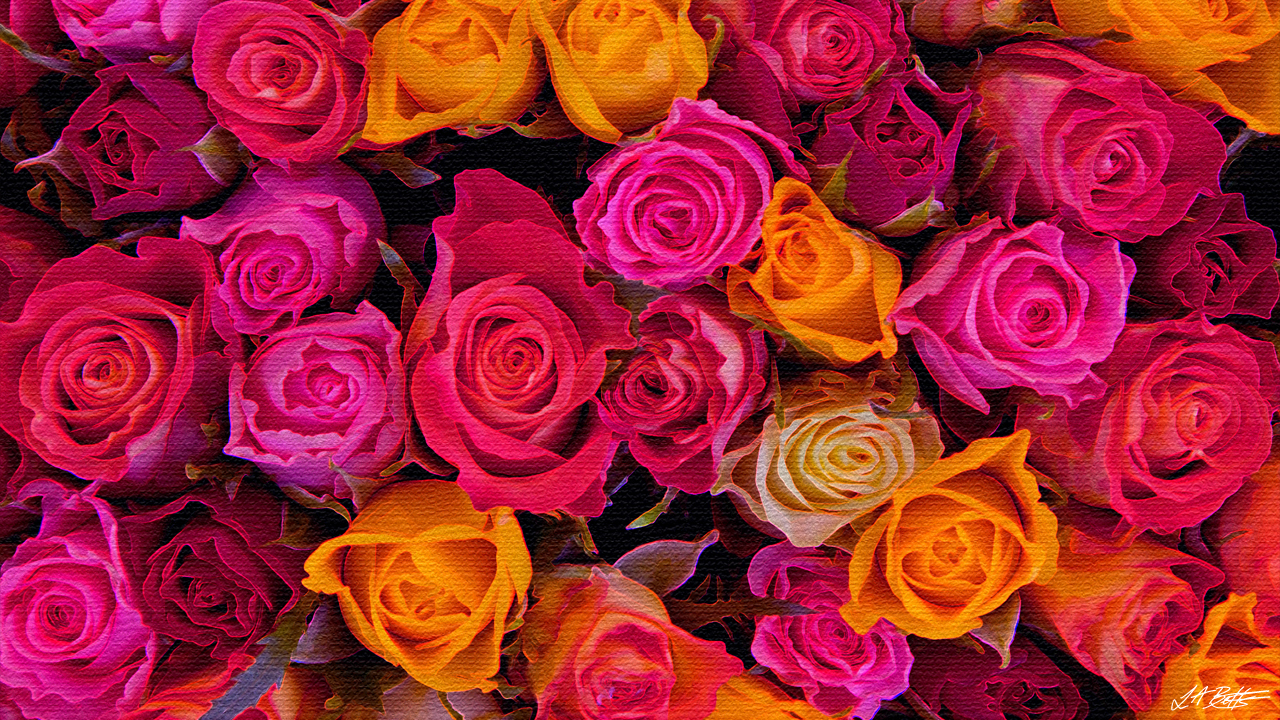 Roses Wallpaper For Computer , HD Wallpaper & Backgrounds