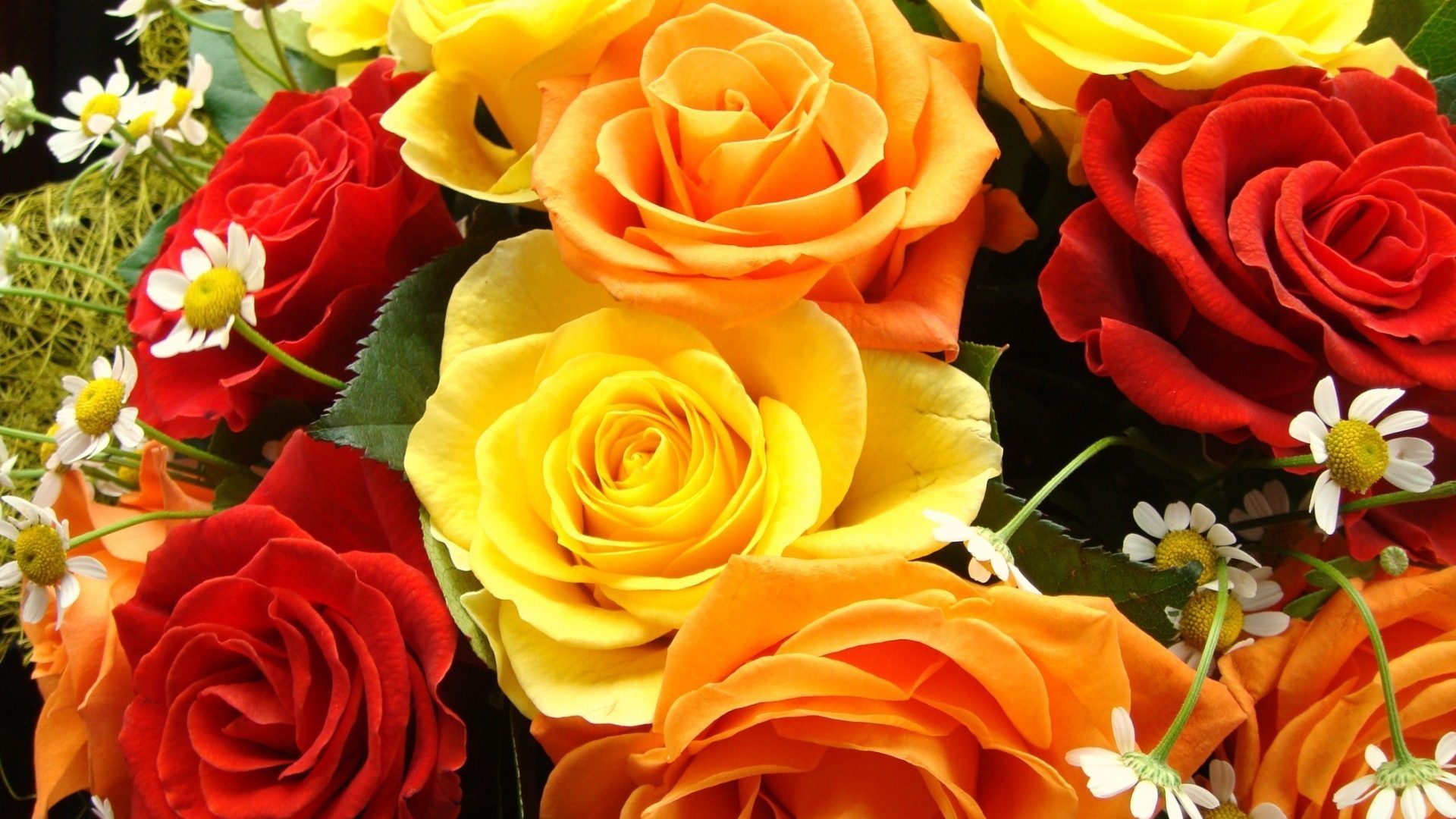 Colorful Rose Bouquet Widescreen Wallpapers - Yellow And Red Rose Hd , HD Wallpaper & Backgrounds