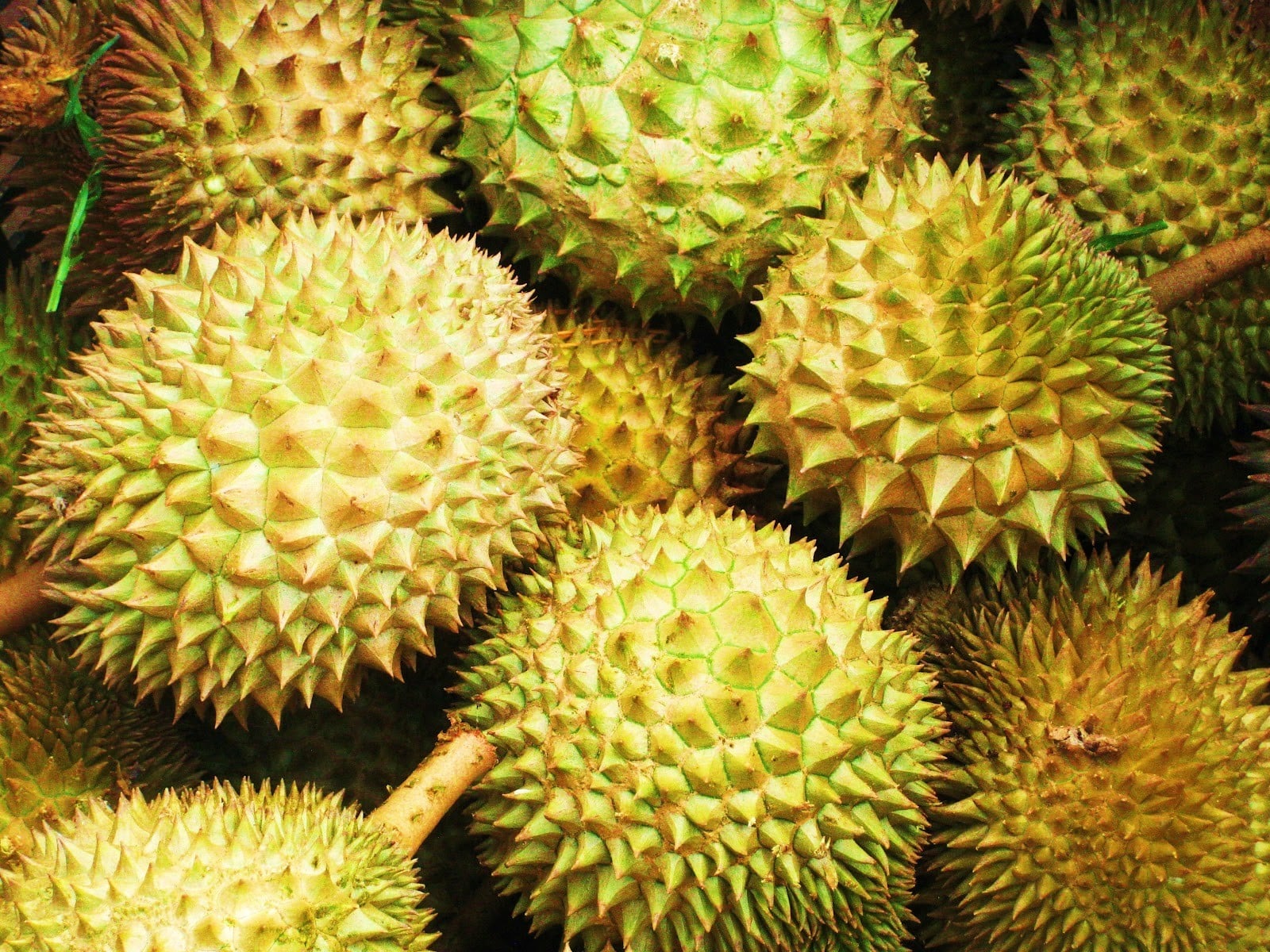 Durian Wallpapers Durian Widescreen Wallpapers - Fruit For Dengue Treatment , HD Wallpaper & Backgrounds