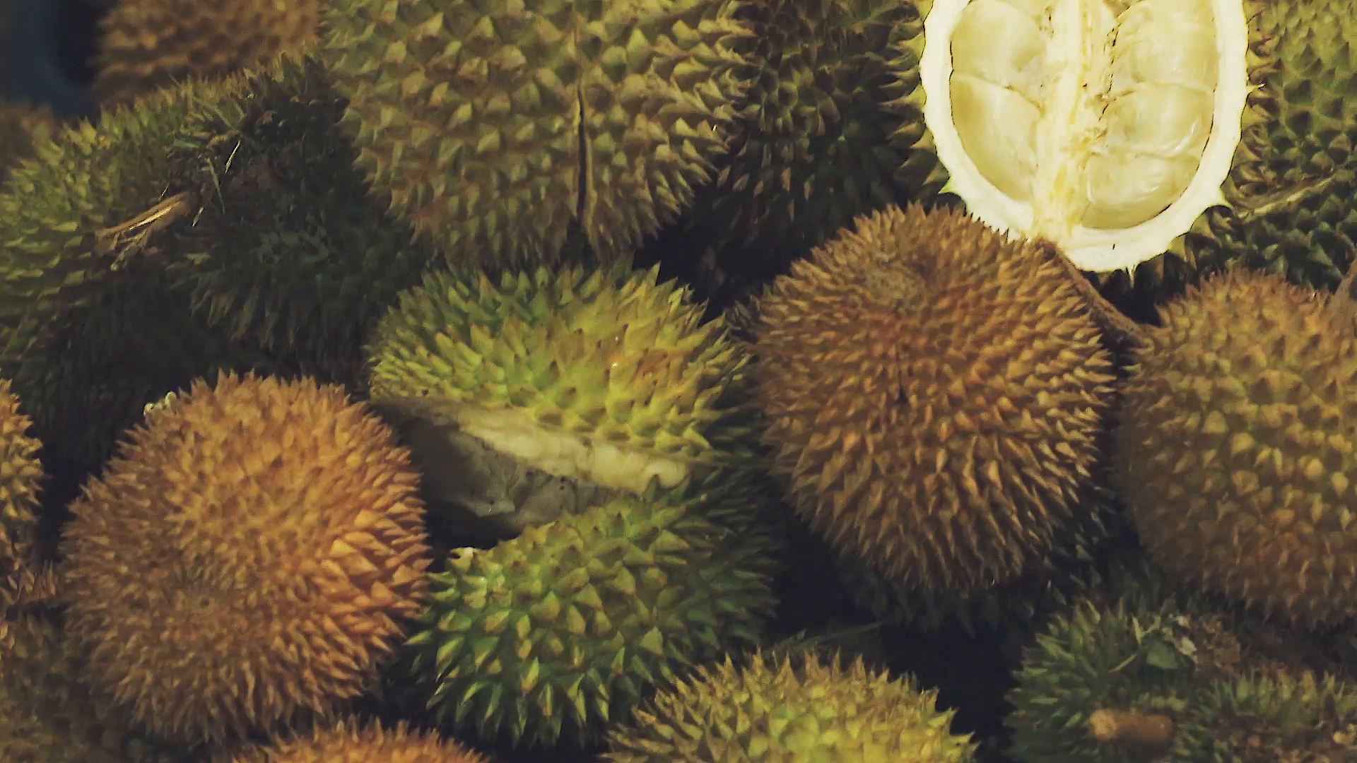 Durian Hd , HD Wallpaper & Backgrounds