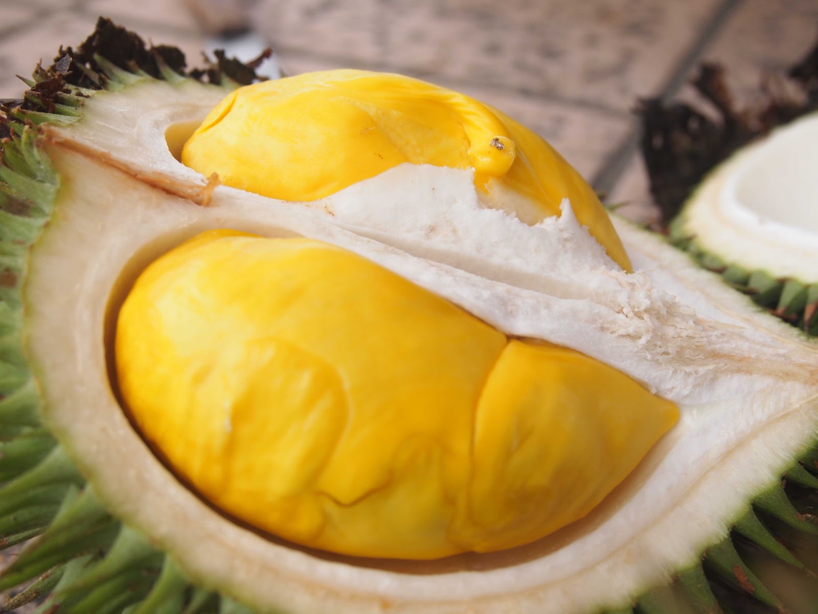 Durian , HD Wallpaper & Backgrounds