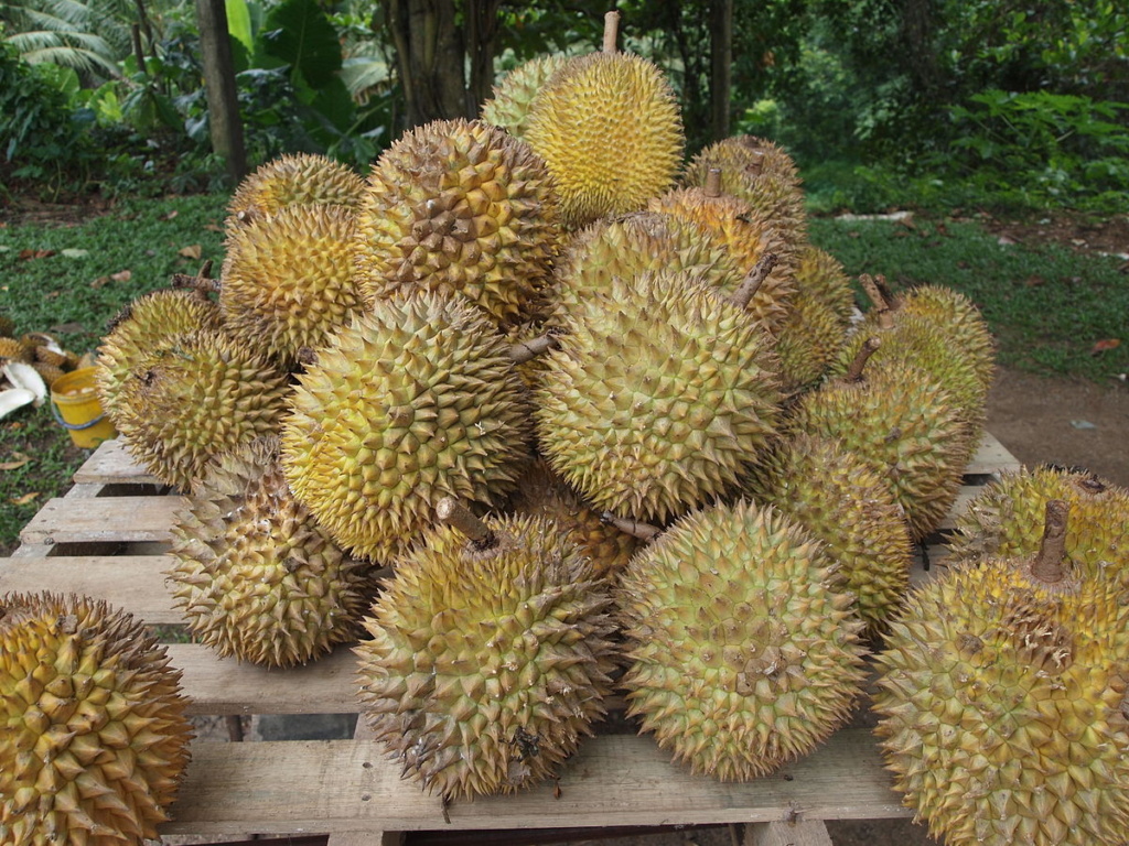 Seasonal Fruit Vendors In Penang Must Apply For Permits - Doreen Fruit , HD Wallpaper & Backgrounds