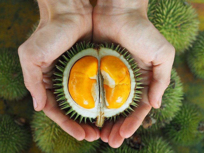Image From Year Of The Durian - Sarawak Durian , HD Wallpaper & Backgrounds