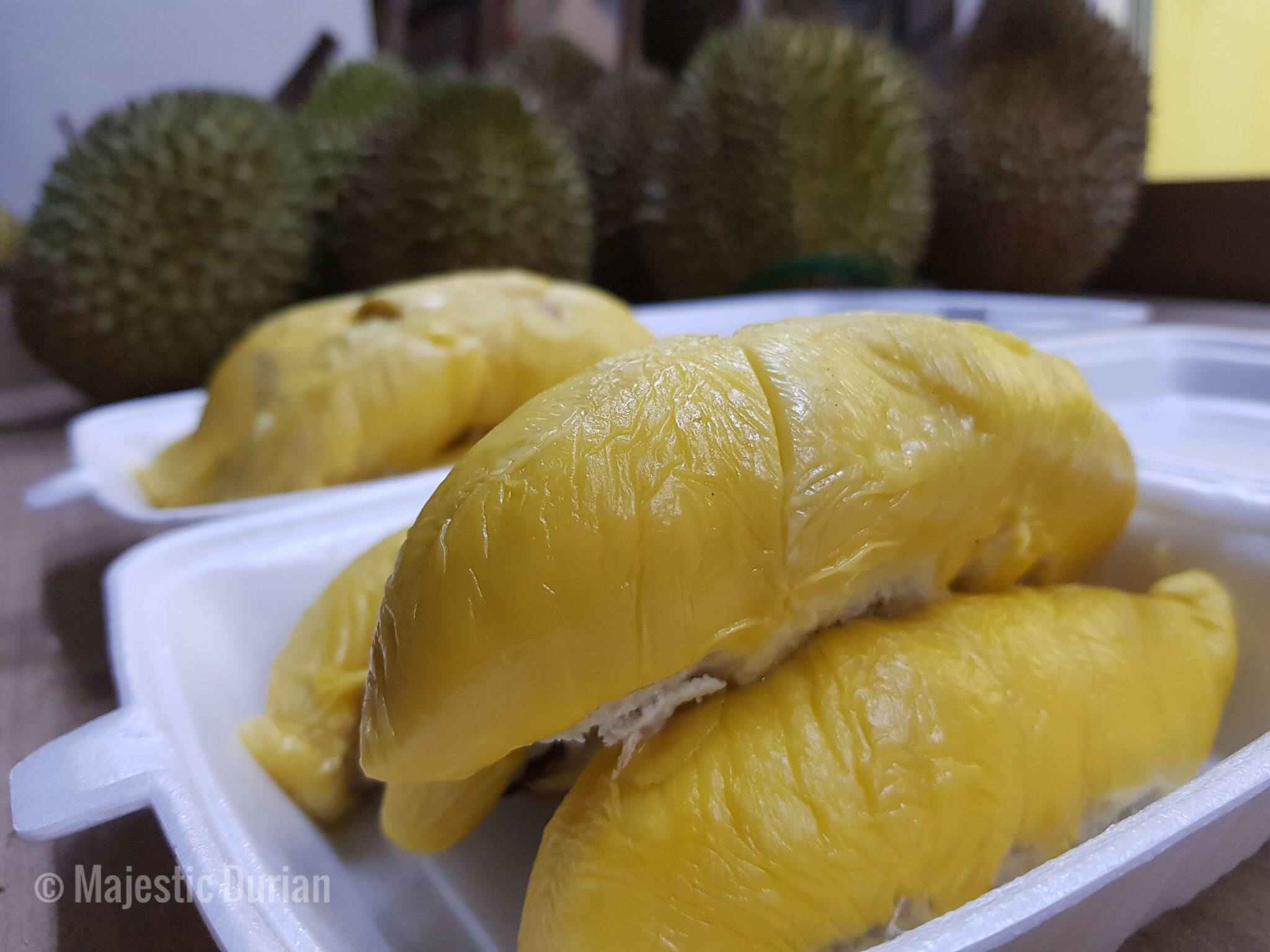 Source - Durian , HD Wallpaper & Backgrounds