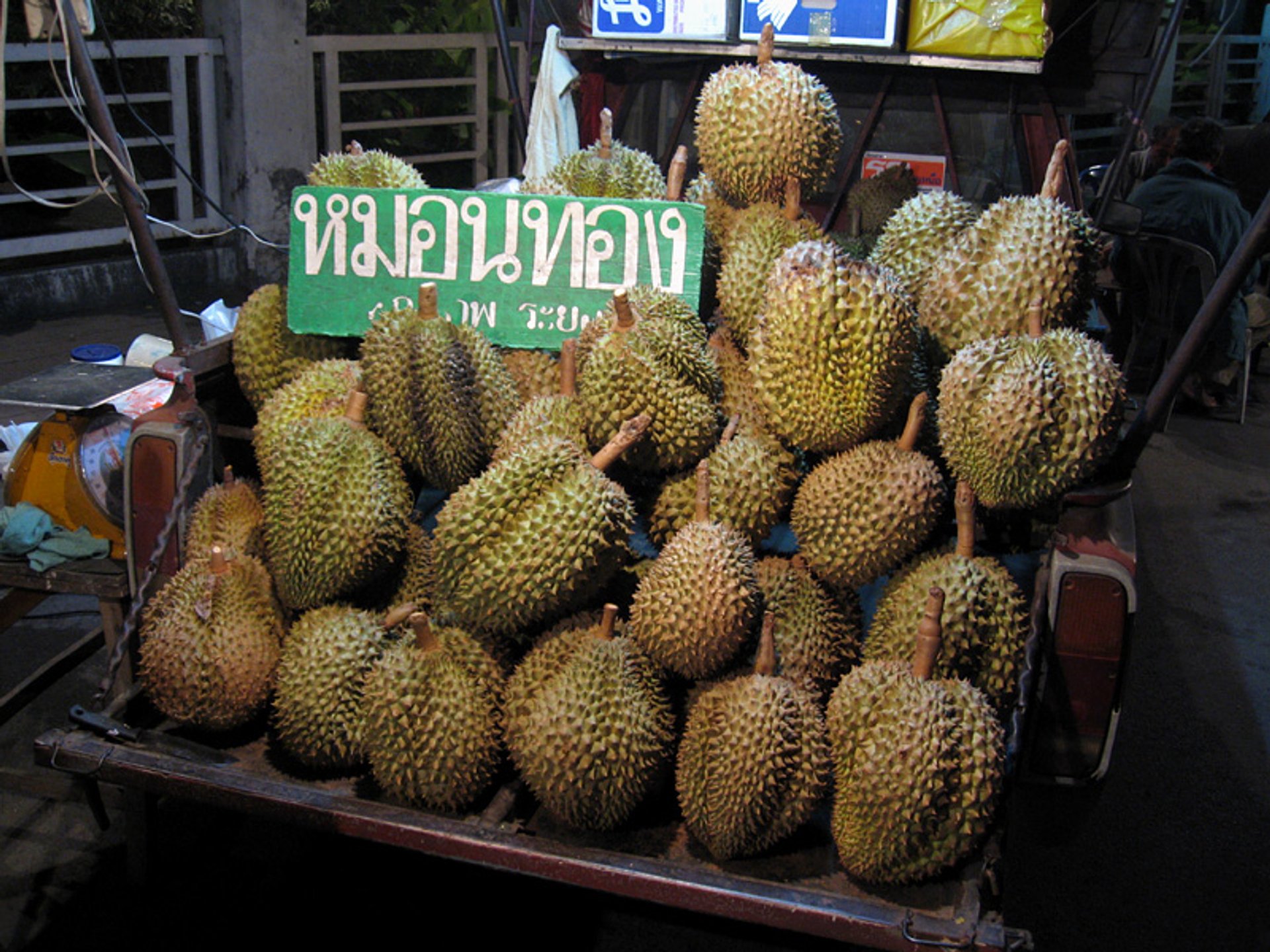 Durian Season - Durian , HD Wallpaper & Backgrounds