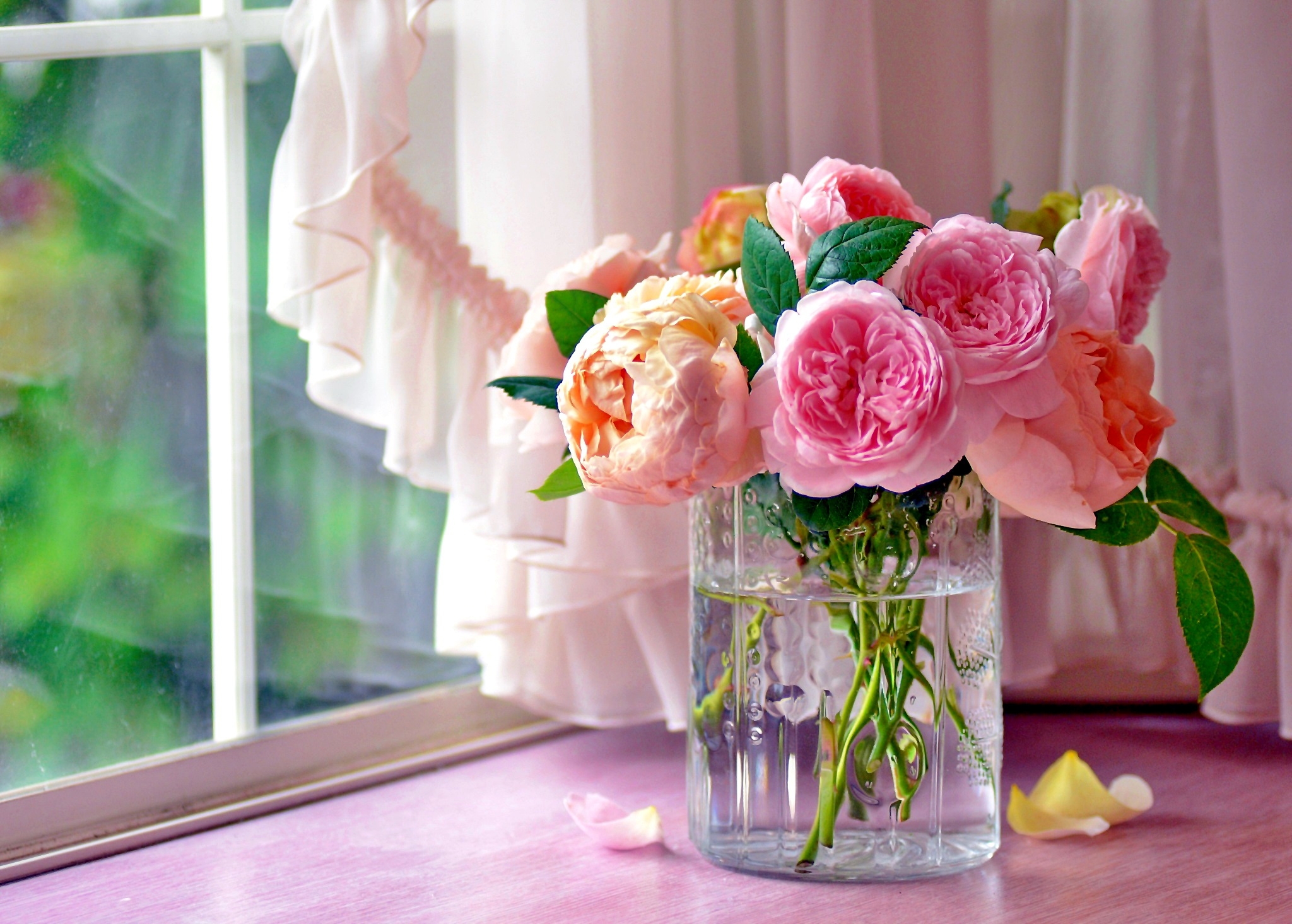 Pastel-colored Cabbage Roses In Vase By The Window - Flower Vase On Window , HD Wallpaper & Backgrounds