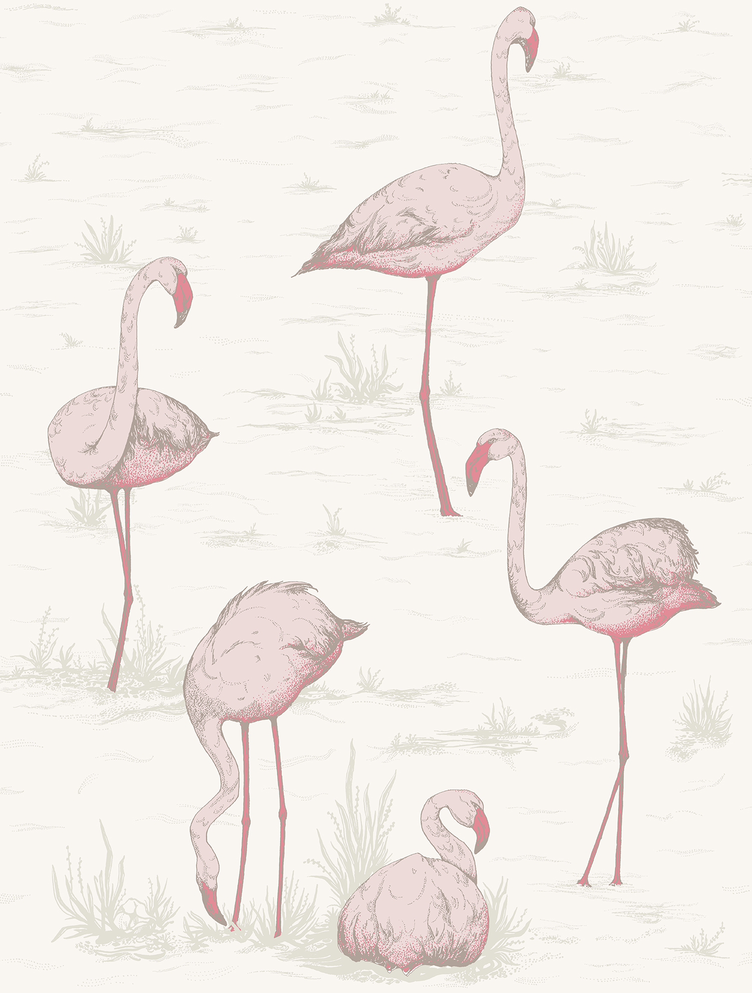 Buy Cole & Son Flamingos Wallpaper Online At Johnlewis - Cole And Son Flamingos , HD Wallpaper & Backgrounds