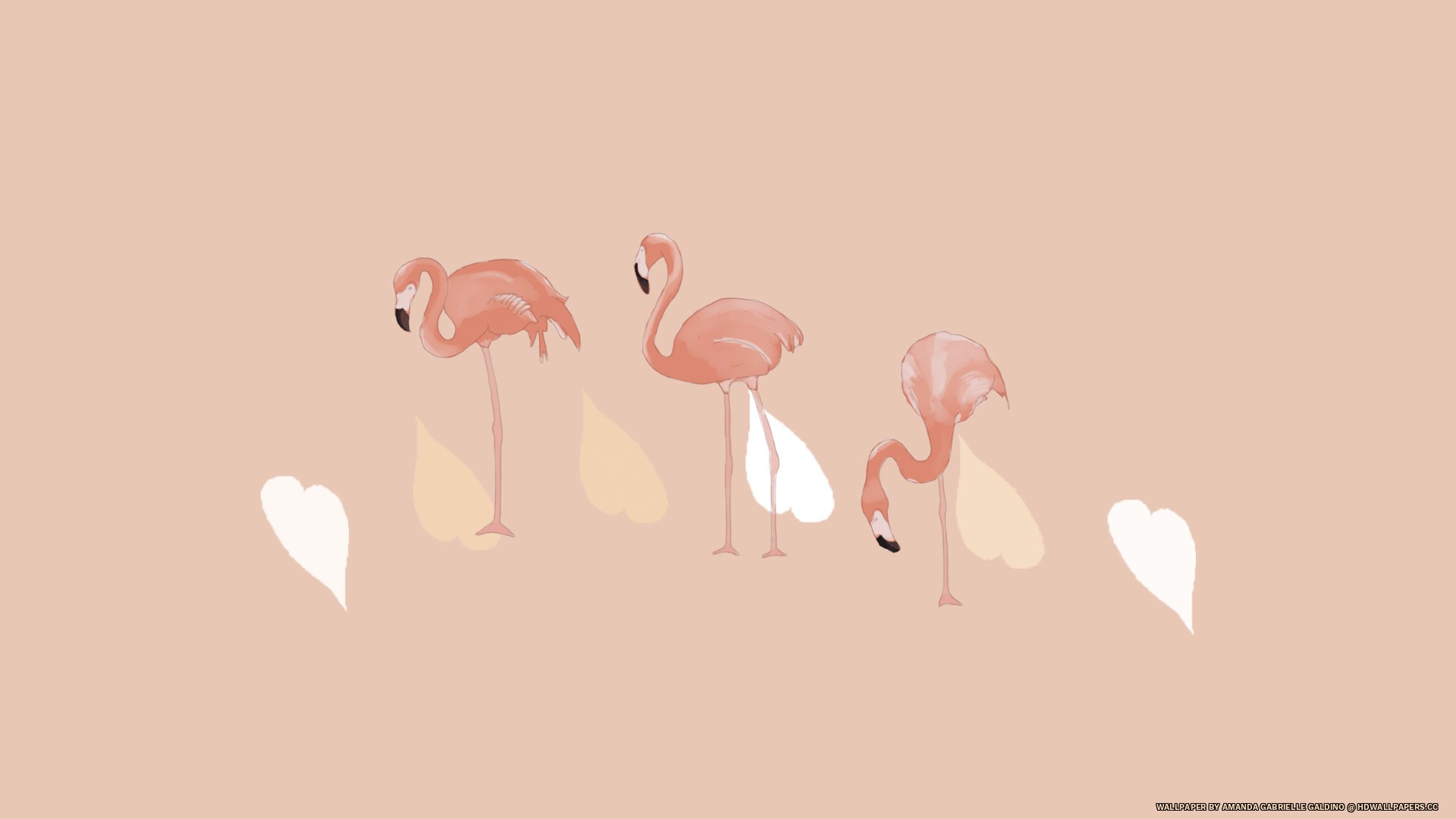 Flamingo - Flamingo Hd Wallpaper Cartoon , HD Wallpaper & Backgrounds