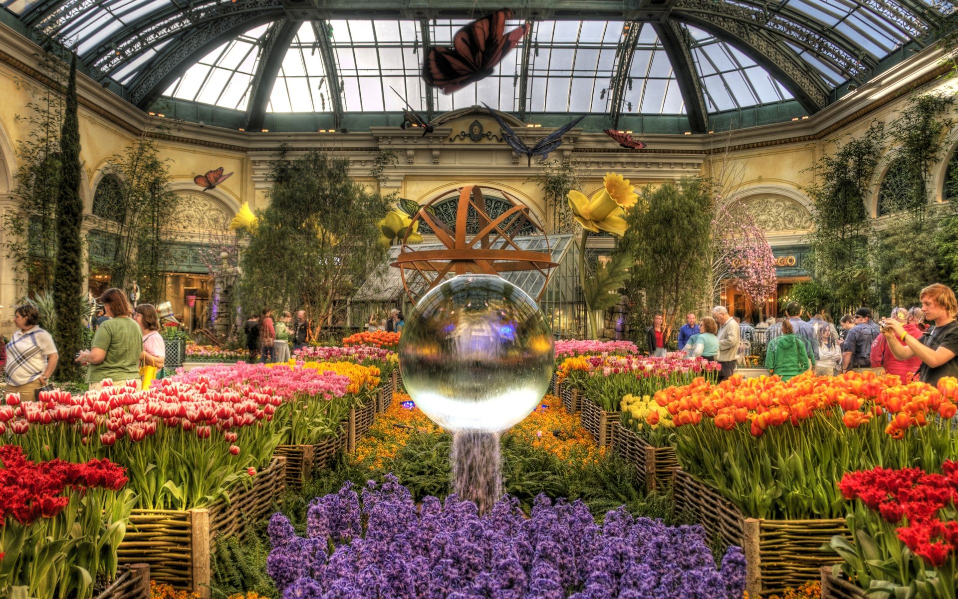Bellagio Conservatory, Botanical, Conservatory, Display, - Bellagio Flowers , HD Wallpaper & Backgrounds