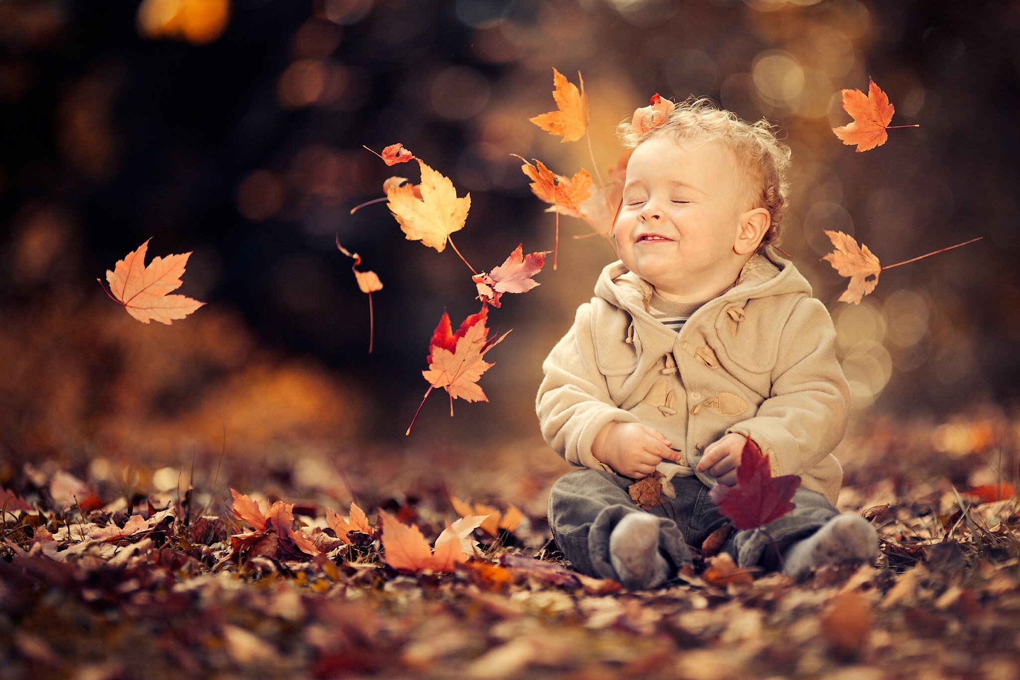 Little Boy Enjoying The Autumn Breeze - Fond D Écran Garçon Gratuit , HD Wallpaper & Backgrounds