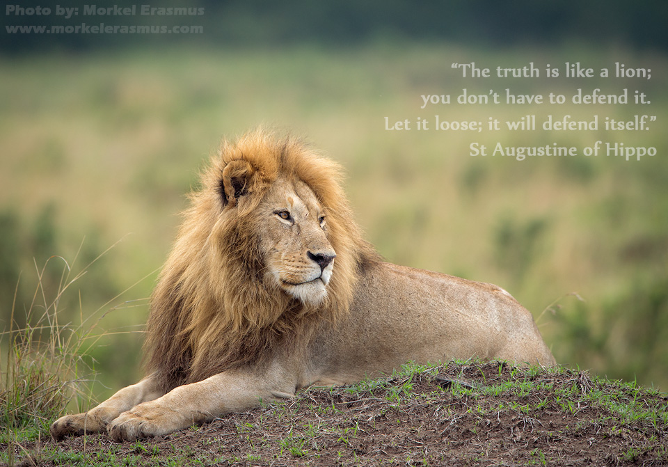 E Truth Is Ave To Defend It - Desktop Wallpaper Hd Lion With Quotes , HD Wallpaper & Backgrounds